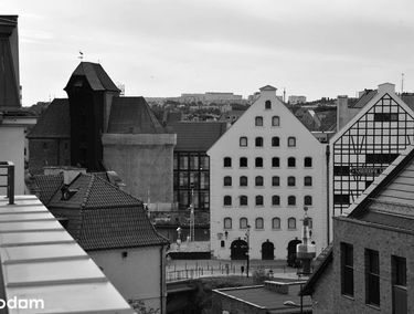 Zdjęcie 15112127