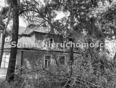 Zdjęcie 15112142