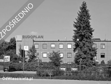 Zdjęcie 15112184