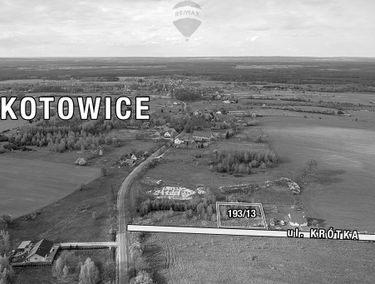 Zdjęcie 15112918