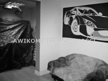 Zdjęcie 15113092