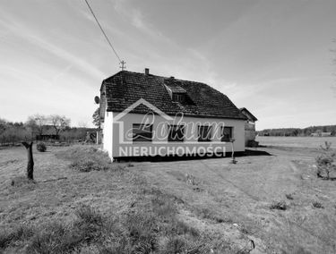 Zdjęcie 15113224