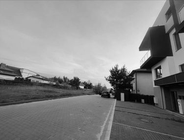 Zdjęcie 15113288
