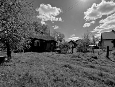 Zdjęcie 15113332
