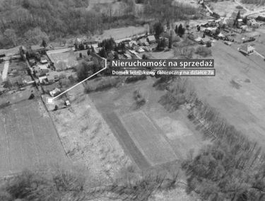 Zdjęcie 15115718
