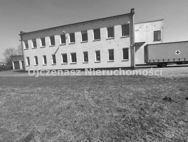 Zdjęcie 15115821