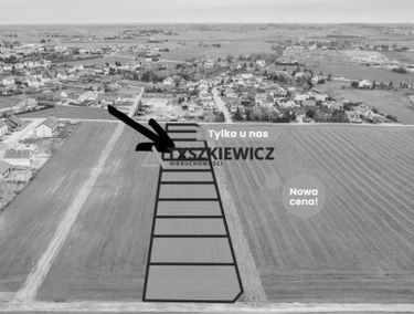 Zdjęcie 15115853
