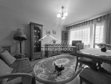 Zdjęcie 15115857