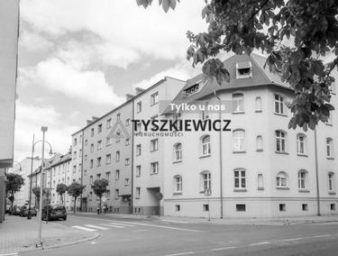 Zdjęcie 15115859
