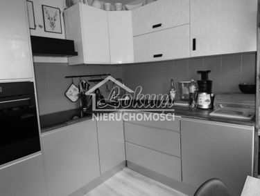 Zdjęcie 15116135