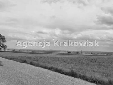 Zdjęcie 15116433