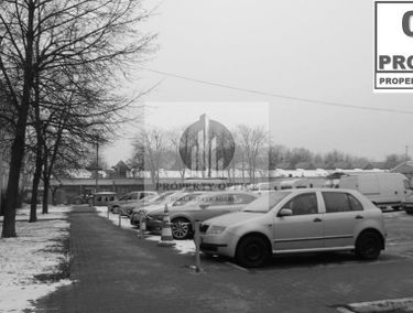 Zdjęcie 15116528