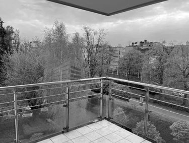 Zdjęcie 15116621