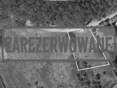 Zdjęcie 15116946