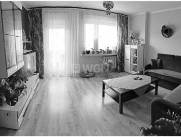 Zdjęcie 15117483