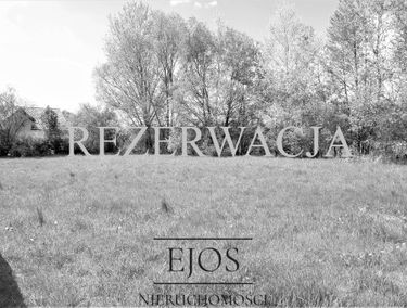 Zdjęcie 15117665