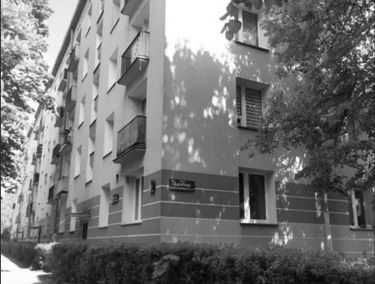 Zdjęcie 15297952