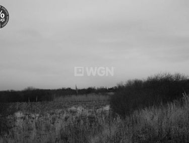 Zdjęcie 15118916