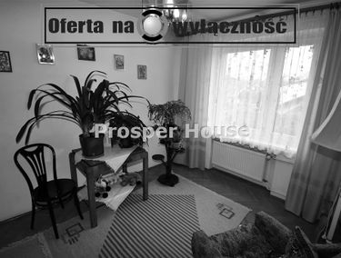 Zdjęcie 15119043