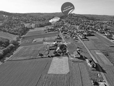 Zdjęcie 15119408