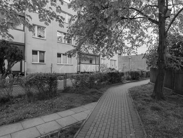 Zdjęcie 15119569