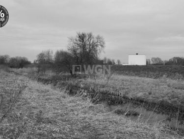 Zdjęcie 15119843