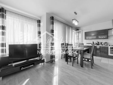 Zdjęcie 15120772