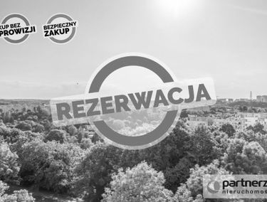 Zdjęcie 15122419