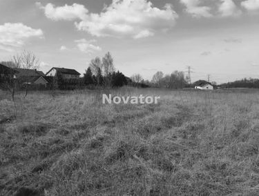 Zdjęcie 15122626