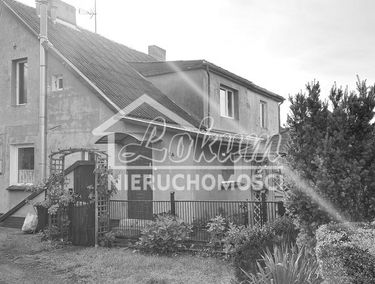 Zdjęcie 15122925