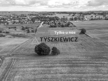 Zdjęcie 15123008