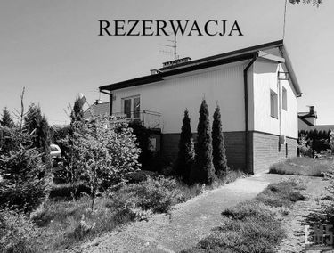 Zdjęcie 15123854