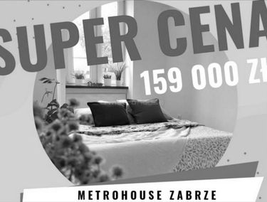 Zdjęcie 15124156