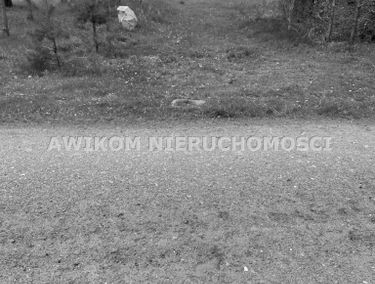 Zdjęcie 15124311
