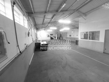 Zdjęcie 15124405