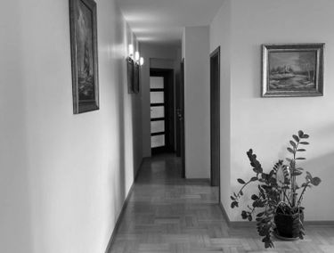 Zdjęcie 15124812