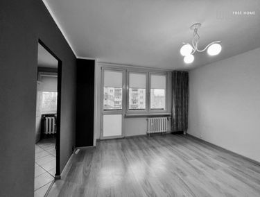 Zdjęcie 15125032