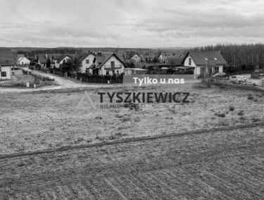 Zdjęcie 15125486