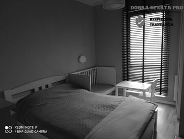 Zdjęcie 15125546