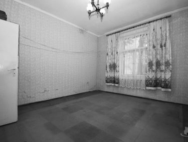 Zdjęcie 15125892