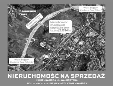 Zdjęcie 15126071