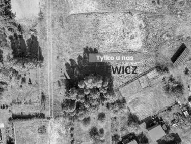 Zdjęcie 15126366