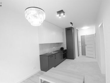 Zdjęcie 15127945