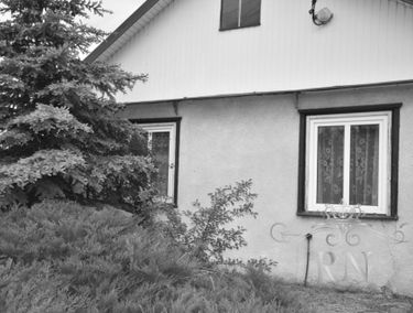 Zdjęcie 15128155