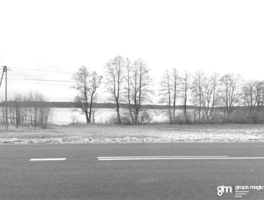 Zdjęcie 15128324