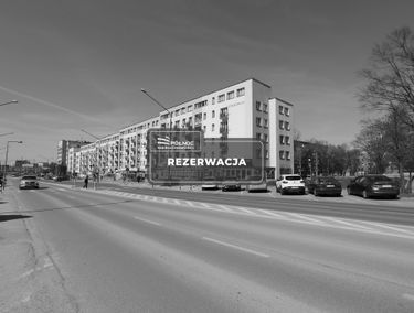 Zdjęcie 15128722