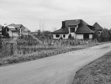 Zdjęcie 15129351