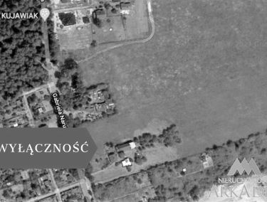 Zdjęcie 15129422