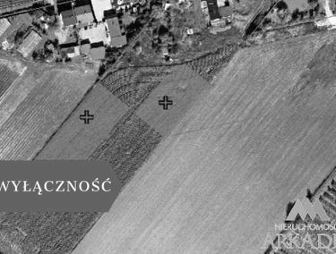 Zdjęcie 15129423
