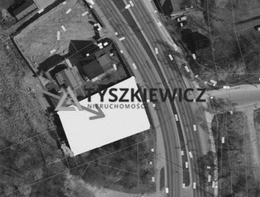 Zdjęcie 15129434